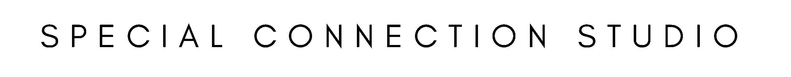 Logo Special Connection Studio - Wordpress Websites Hamburg